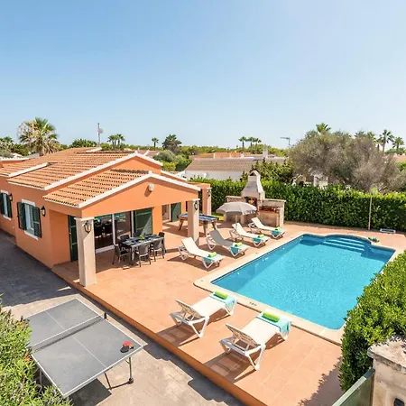 Violeta By 卡兰博希